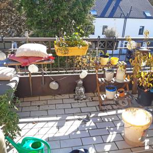 sonnige Dachterrasse