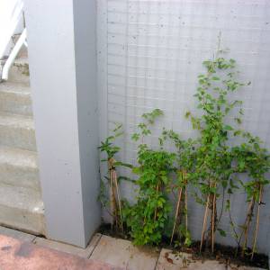 Sitzplatz mit Treppe