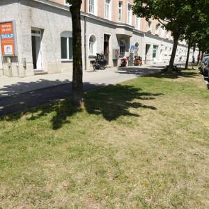 Wiesenbereich zum Draußensitzen