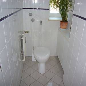 separates WC